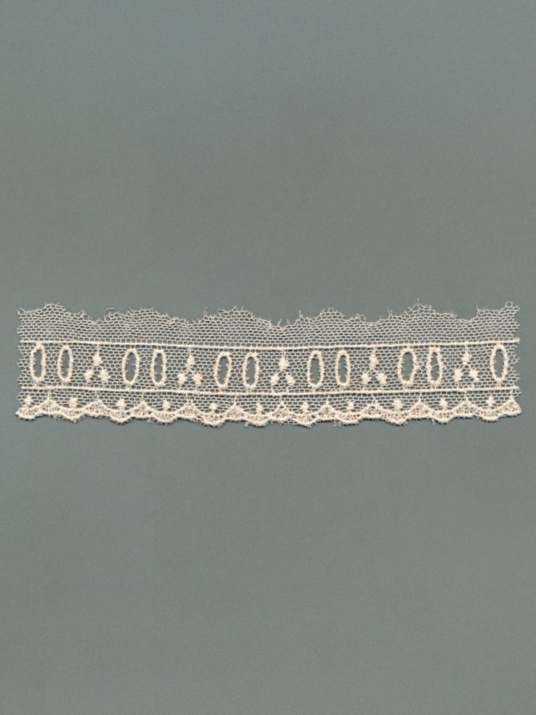 Embroidered European Cotton Tulle Embroidery