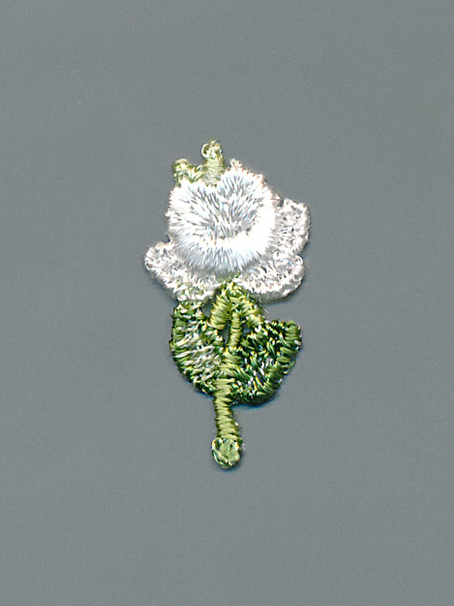 Rayon Motif Rayon Motif